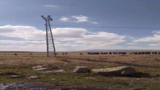 Tekmanda cenaze sırasında iki aile birbirine girdi