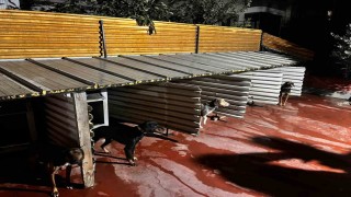 Tepkiye neden olan görüntüler sonrası Emniyet harekete geçti