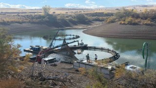 Tercan Baraj Gölünde su ürünleri üretimi büyüyor