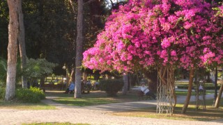 Termometreler 33 Dereceyi Göstermeye Devam Ediyor