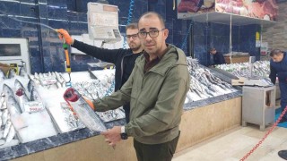 Tezgahlarda hamsi bolluğu