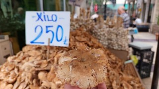 Tezgahlarda tirmit bolluğu: Fiyatı düştü