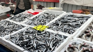 Tezgahta 100 liraya düşen hamsi yoğun ilgi gördü