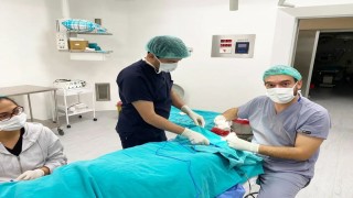 Tırnak kabusu 1 saatlik ameliyat ile sona erdi