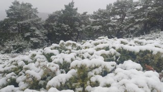 Tokat yükseklerinde kar, kent merkezinde yağmur etkili oldu