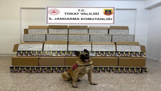 Tokatta 1 milyon 200 bin TL değerinde bandrolsüz makaron ele geçirildi