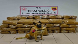 Tokatta 450 kilo kaçak tütün yakalandı