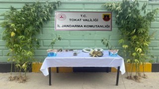 Tokatta jandarma ekipleri tarafından 2 ayda 56 kişi hakkında uyuşturucuya bağlı suçlarından işlem yapıldı