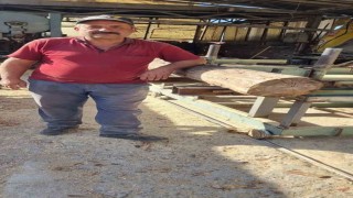 Tomruğun altında kalan işçi hayatını kaybetti