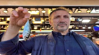 Trabzonda balıkçıların ceza isyanı