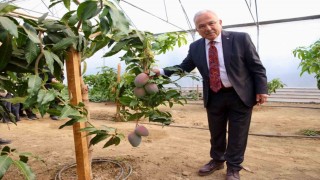 Tropik bitkilerden sebzeye: Öğrenciler seralarda deneyim kazanıyor