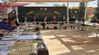 TSYDden Ankara Binicilik Kupası: 120 sporcu katılacak ve 400 bin lira ödül dağıtılacak