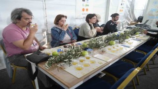 Tüketicilere Edremitte zeytinyağında tağşişle mücadele eğitimi