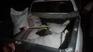 Tuncelide Dağ Sarımsağı kaçakçılığı: 557 bin TL idari para cezası kesildi