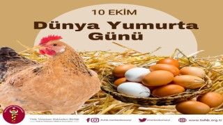 Türk Veteriner Hekimleri Birliği Başkanı Eroğlu: Yumurta doğanın en eşsiz gıda kaynaklarından biridir