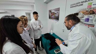 Türkiyede bir ilk: Meslek yüksekokulunda veteriner sağlık eğitimi simülatörlerle veriliyor