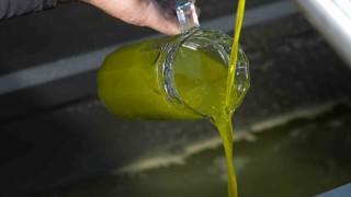 Türkiyede satılan zeytinyağının yüzde 65i ‘Ayvalık zeytinyağı adıyla piyasada