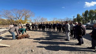 Tutakta hayvan pazarı yapılıyor