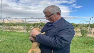 TVHB Genel Başkanı Eroğlu: Hayvanlara verilen zarar, onlara yapılan işkence insanlık dışı şeylerdir