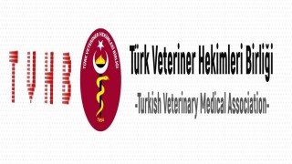 TVHB: Veteriner hekimlik, ticari bir faaliyet değil kamusal bir sağlık hizmetidir