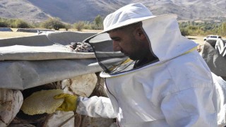 Uluslararası ödüllü Bitlis karakovan balında hasat zamanı