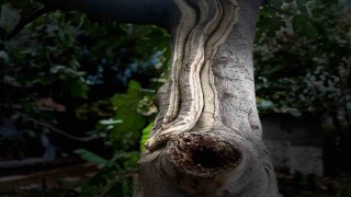 Unutulan sanatı emekliler hayata döndürüyor