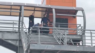 Üst geçitten indirildi, herkes alkışladı