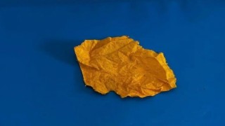 Uyuşturucu operasyonunda 2 tutuklama, 4 şüpheliye adli işlem