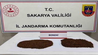 Uyuşturucu tacirleri jandarmadan kaçamadı: 2 tutuklama