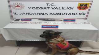 Üzerinde 170 adet uyuşturucu hapla yakalandı