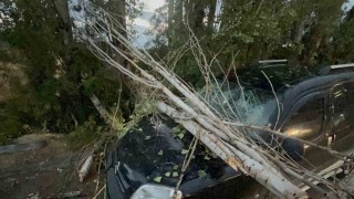 Üzerine ağaç dalı düşen araç kullanılamaz hale geldi