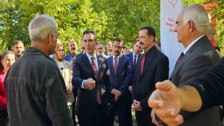 Vali Ahmet Karakaya ceviz hasadına katıldı