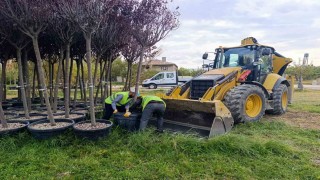Van Büyükşehir Belediyesinden yeşillendirme çalışması
