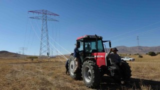 Vanda 31 kilometrelik enerji hattı tamamlandı: Çalışmalarda yabani kuşlar gözetildi