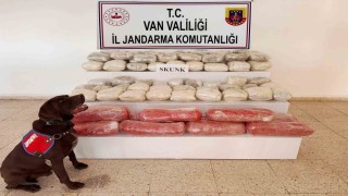 Vanda 61,9 kilogram skunk ele geçirildi