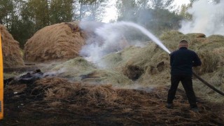 Vanda bin bağ ot yandı