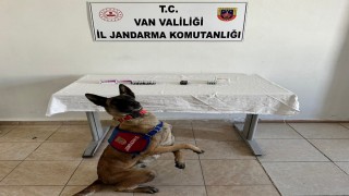 Vanda İran uyruklu şahsın üzerinden 380 adet sentetik hap ele geçirildi
