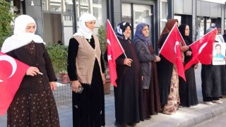 Vanlı annelerin evlat nöbeti 110uncu haftasında