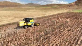 Veteriner Harcamaları Zirvede, Gübre Fiyatları Hızla Arttı