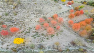 Yağlı boya tablolarını andıran sonbahar manzarası