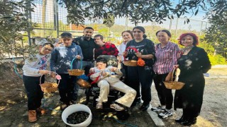 Yahşi Özel Eğitim öğrencilerinden anlamlı zeytin hasadı