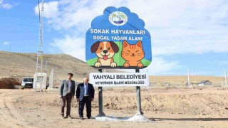 Yahyalı Belediyesi sokak hayvanlarına modern yaşam alanı kazandırdı