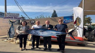 Yakaladığı 800 kiloluk dev orkinosu sevdiklerine ihram etti