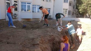 Yaklaşık 16 metrelik balinanın iskeleti gün yüzüne çıkarılmaya başladı