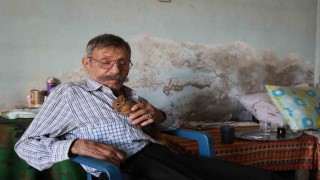Yalnız kalmıştı, yavruyken kurtardığı sincap dostu oldu