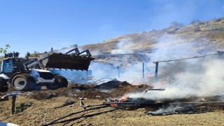 Yangında 13 küçükbaş hayvan telef oldu