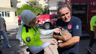 Yangında telef olduğu sanılan kedi dolabın arkasında saklanırken bulundu