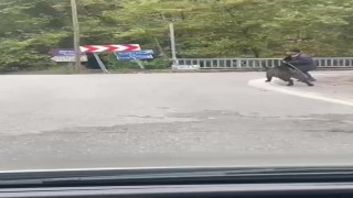 Yaşlı adam, üzerine koşan domuzdan son anda kurtuldu