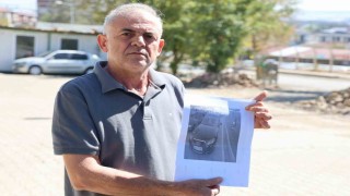 Yaşlı adamın öldüğü kazada sürücü serbest kaldı