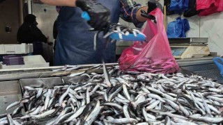 Yaz sıcakları palamudu vurdu, yerini hamsi aldı